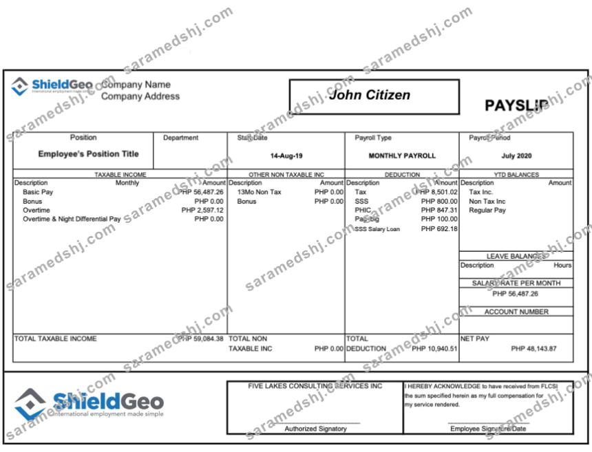 SHIELDGEO payslip in Word and PDF formats